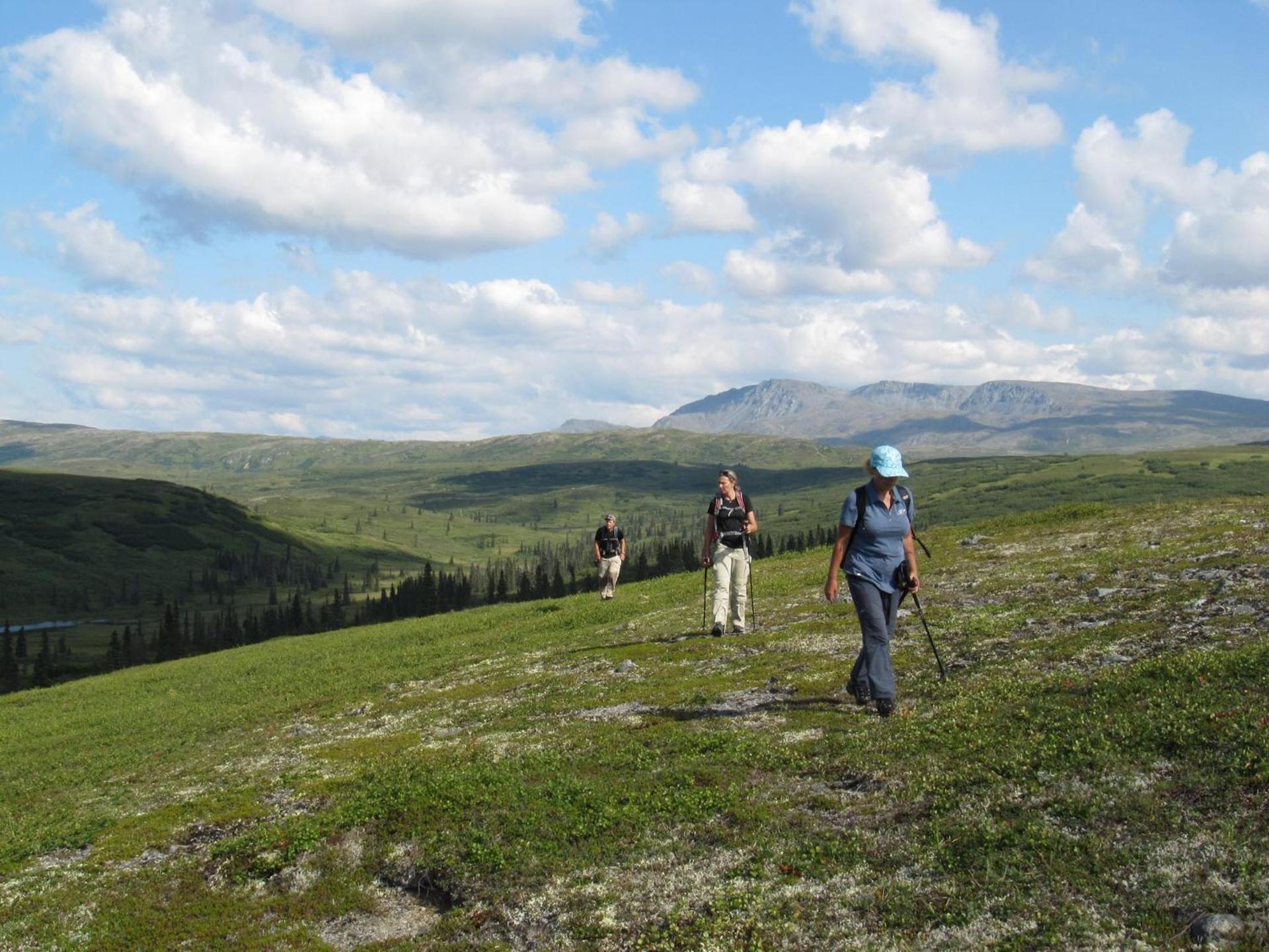 Caribou Lodge Alaska photo 63