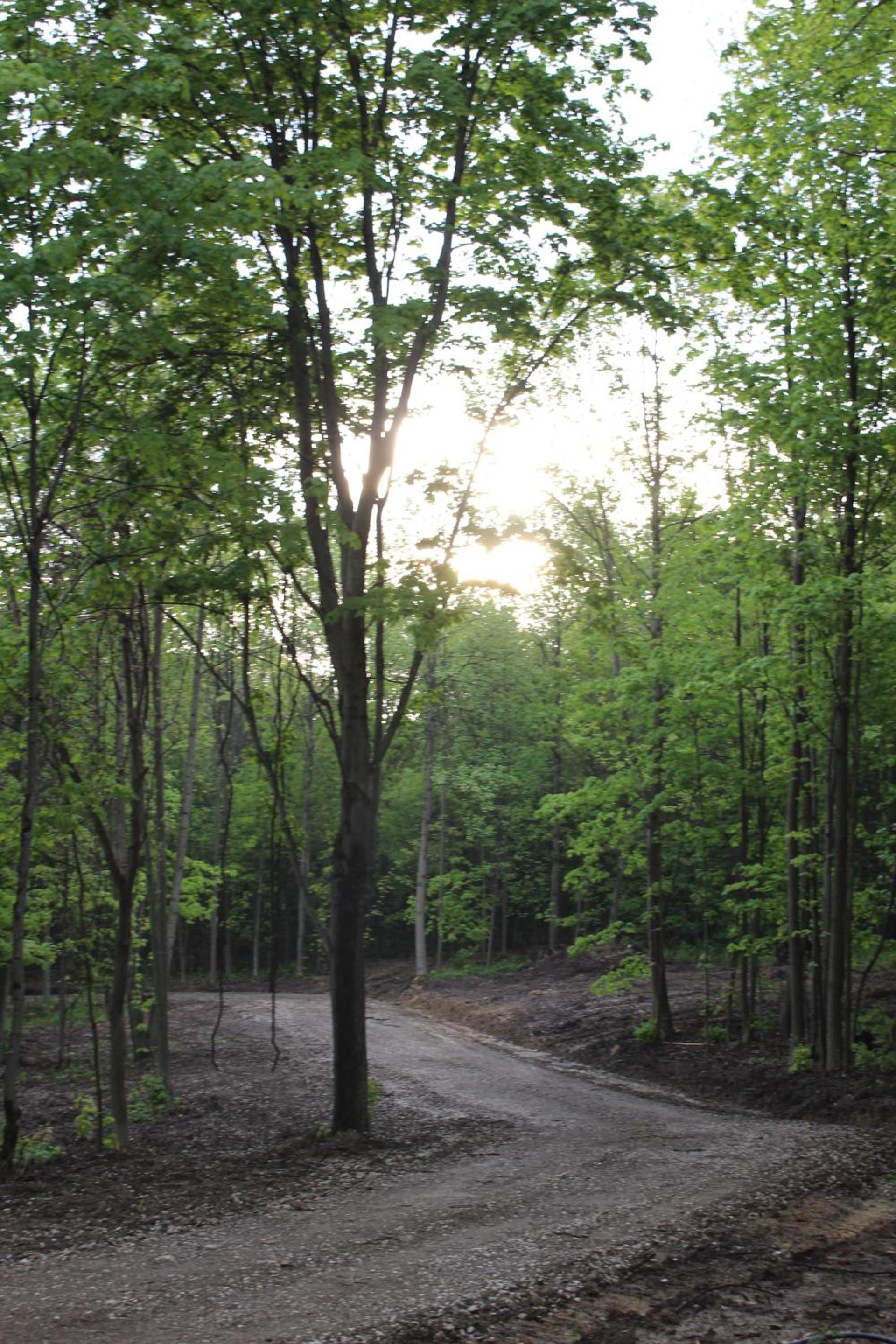 Vineyard Woods photo 70