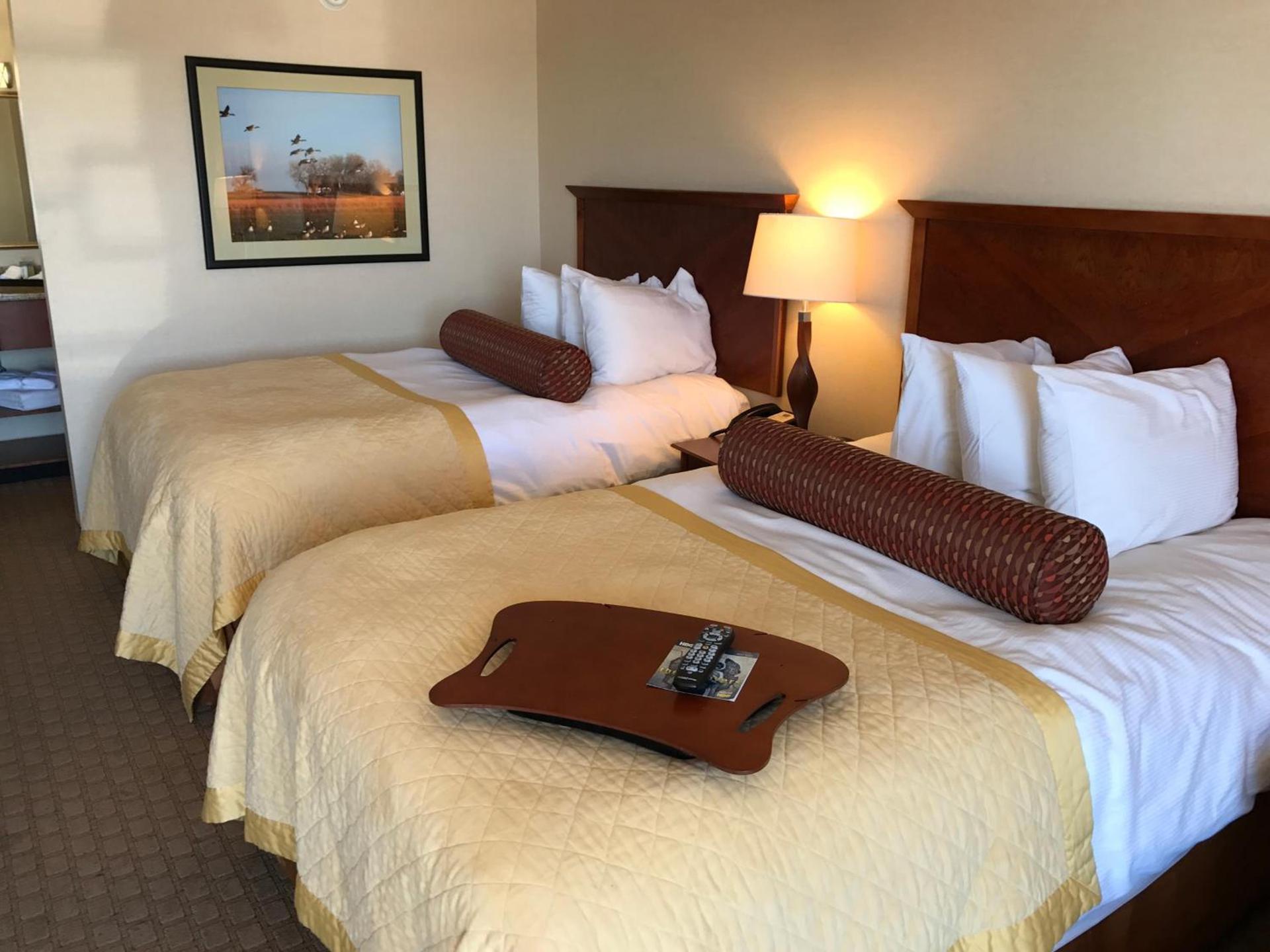 Norfolk Country Inn and Suites photo 9