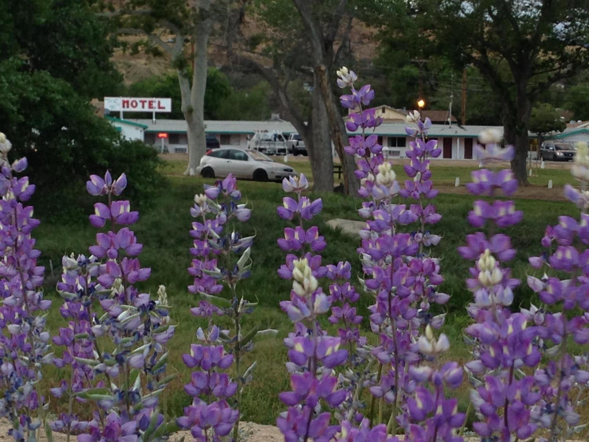 Mount-N-Lake Motel photo 40