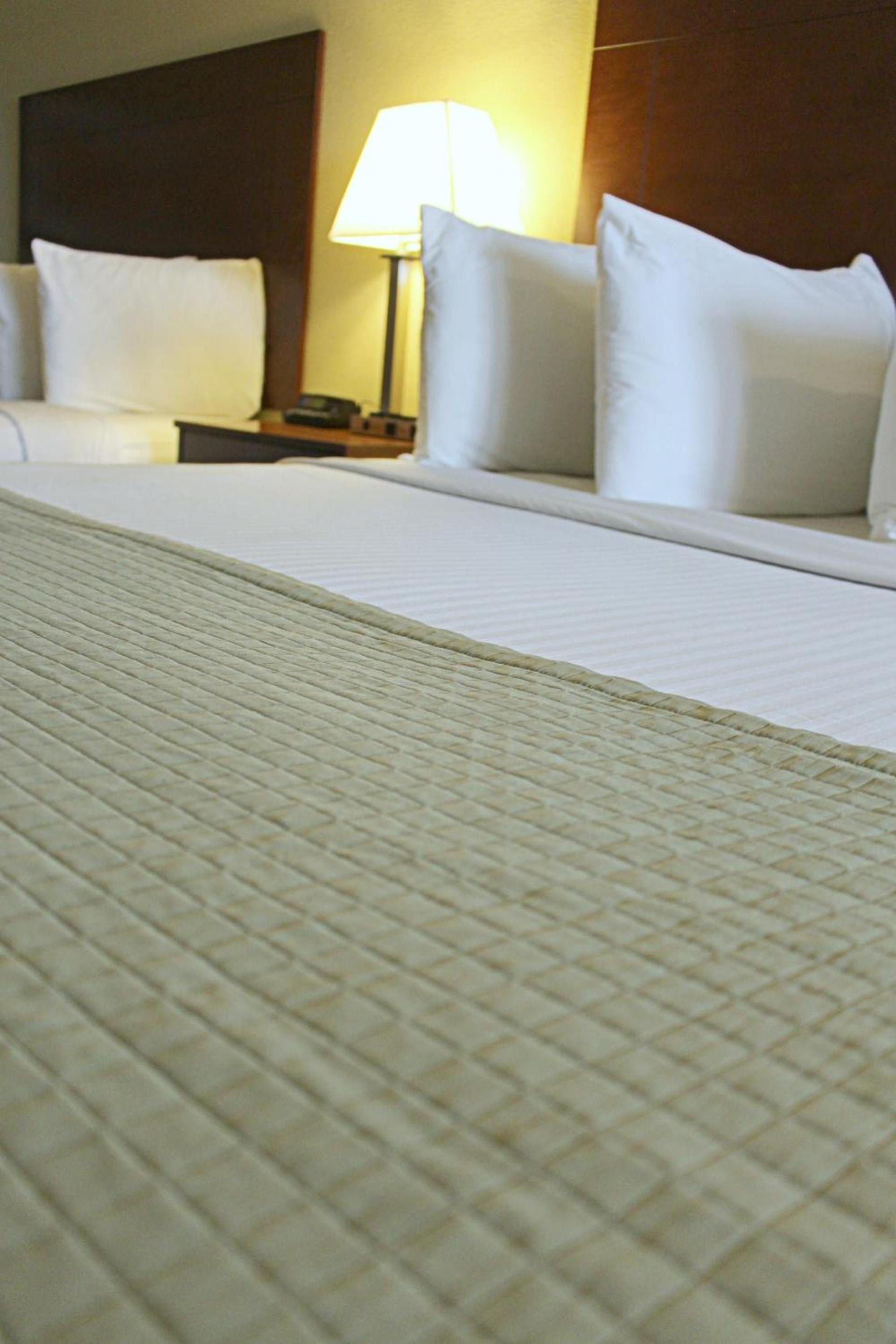 Southern Inn & Suites Lamesa photo 10