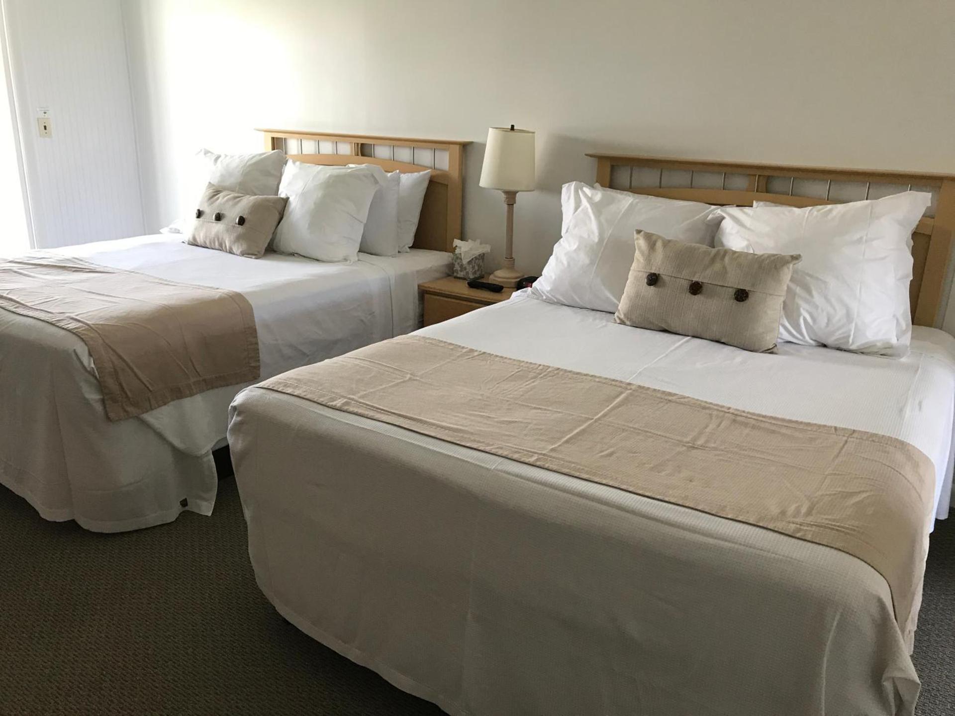 The Three Seasons Resort photo 19