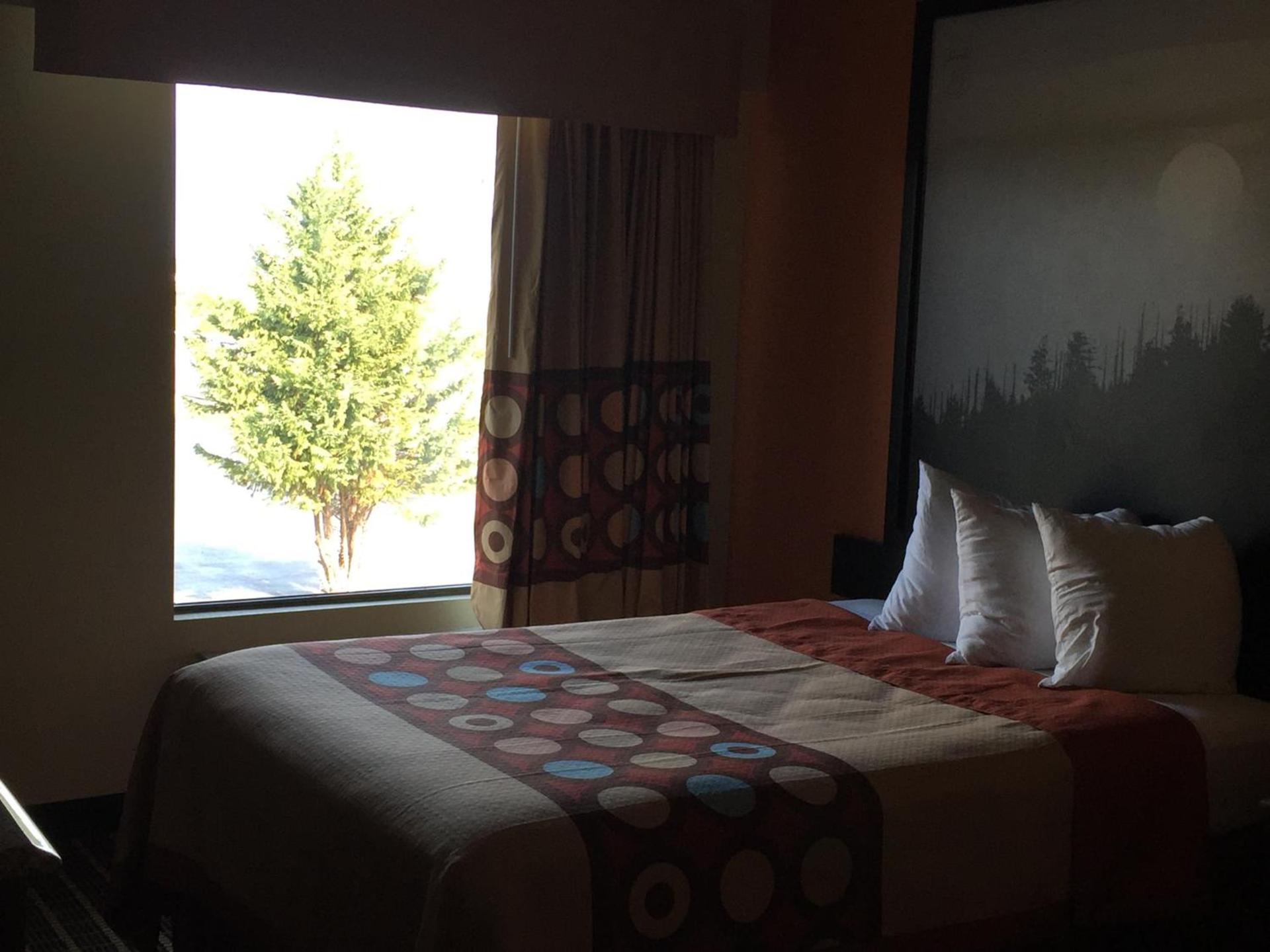 Super 8 by Wyndham Dandridge photo 36