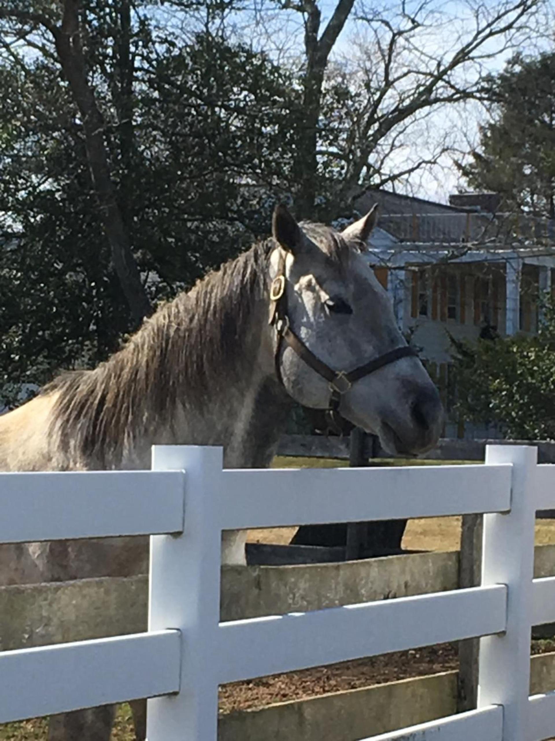 Colts Neck Inn Hotel photo 23
