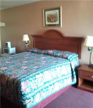 Shamrock Motel Hot Springs photo 8