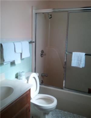 Shamrock Motel Hot Springs photo 11