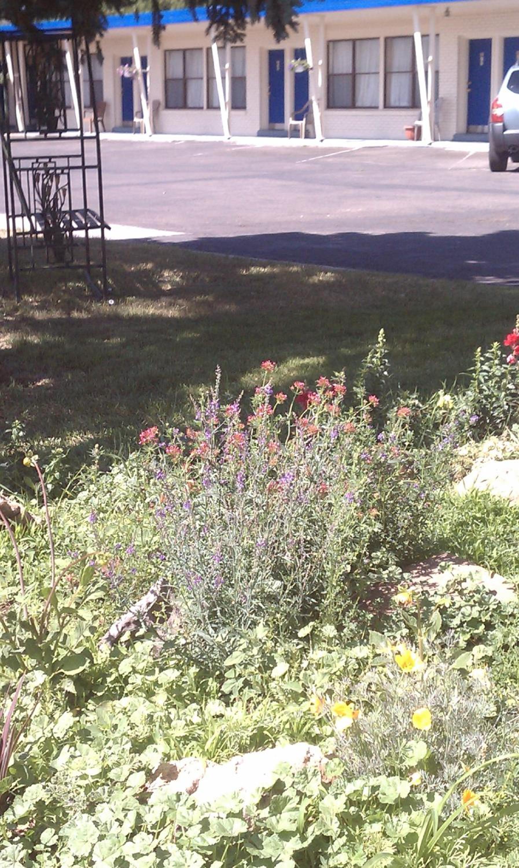 The Monticello Inn photo 6