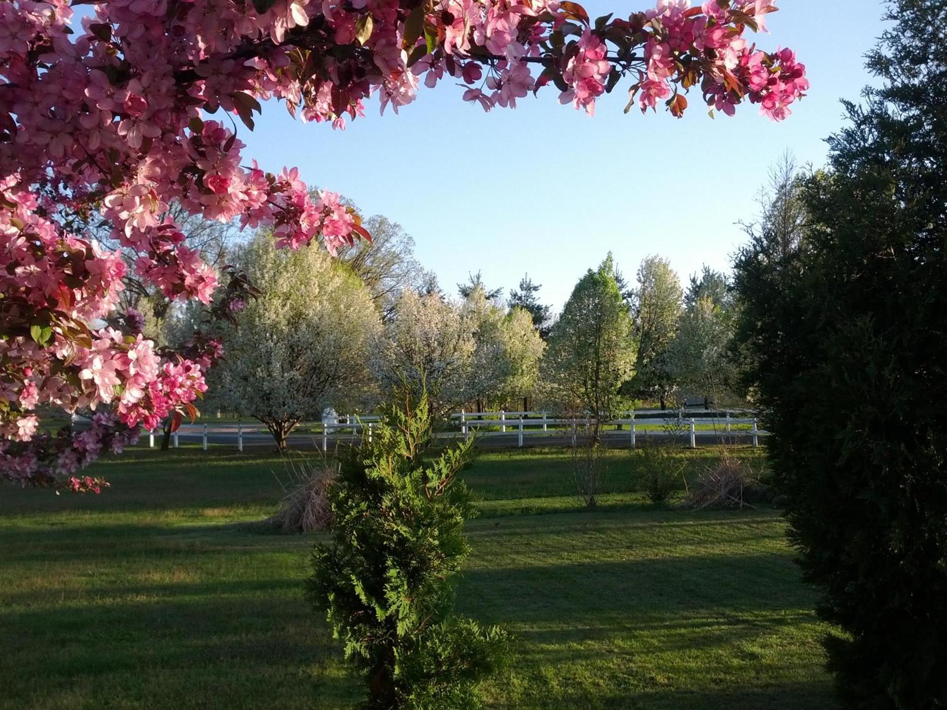 Brook Pointe Resort photo 23