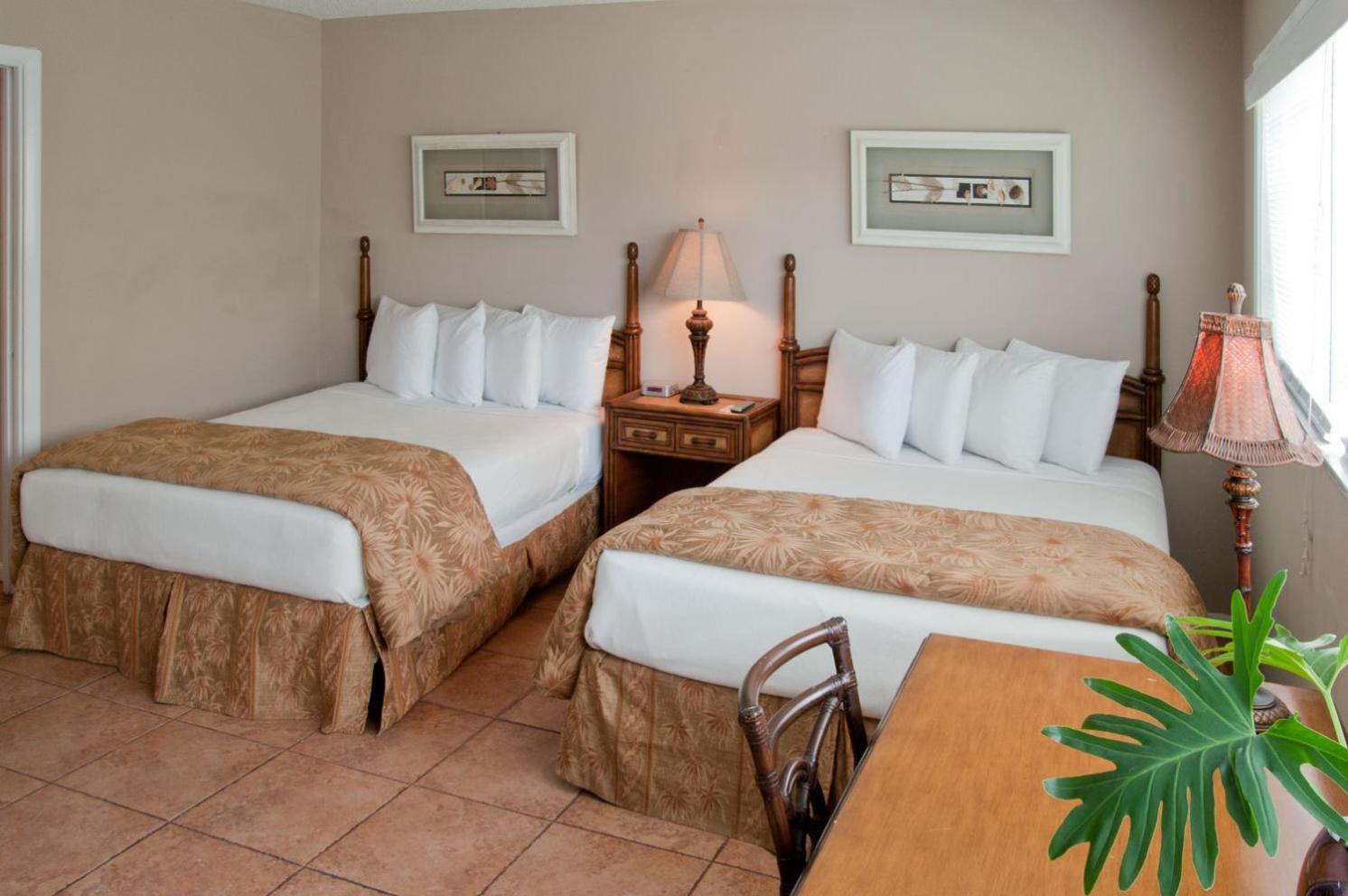 Ocean Lodge photo 17