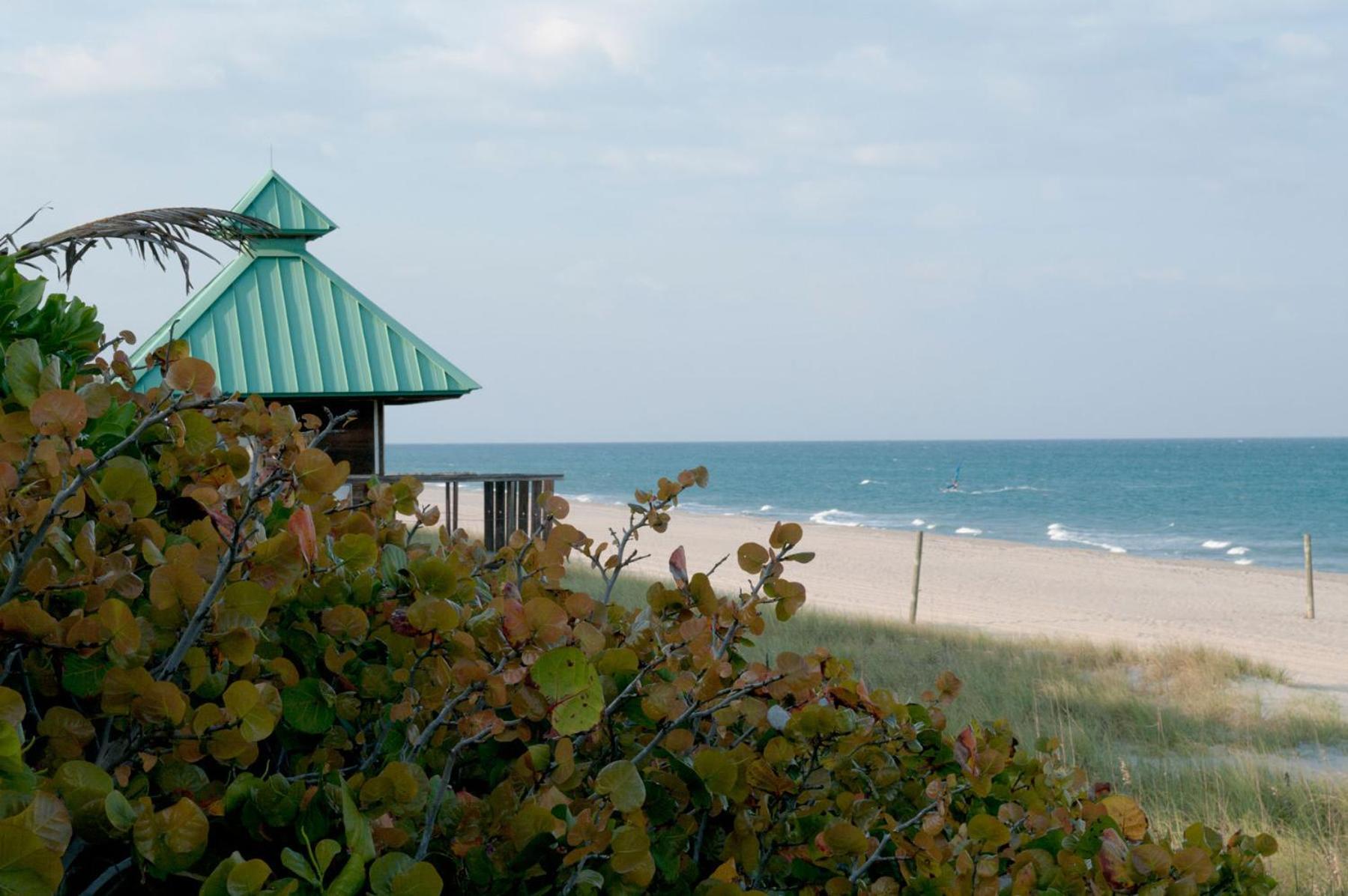 Ocean Lodge photo 23