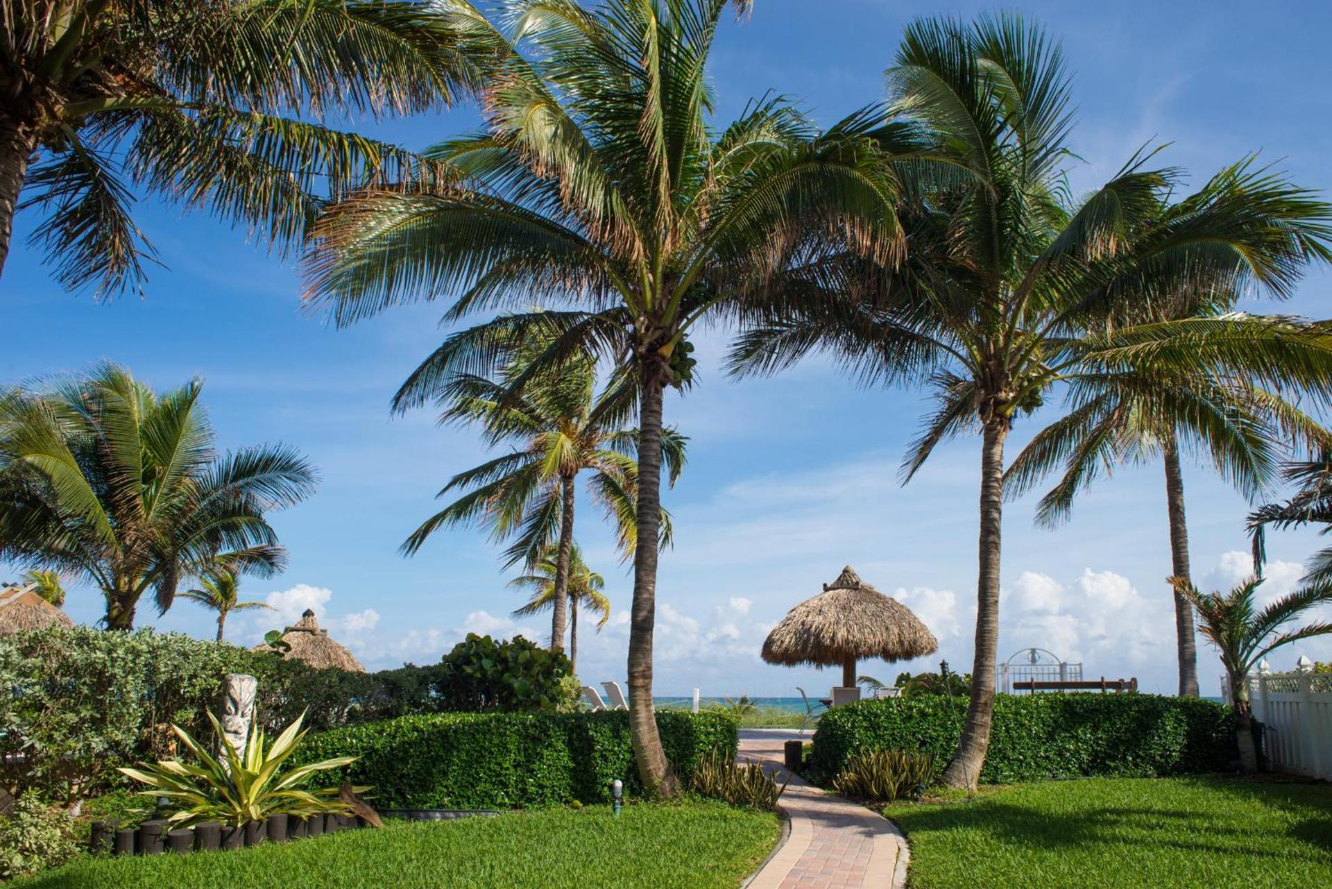 High Noon Beach Resort photo 54