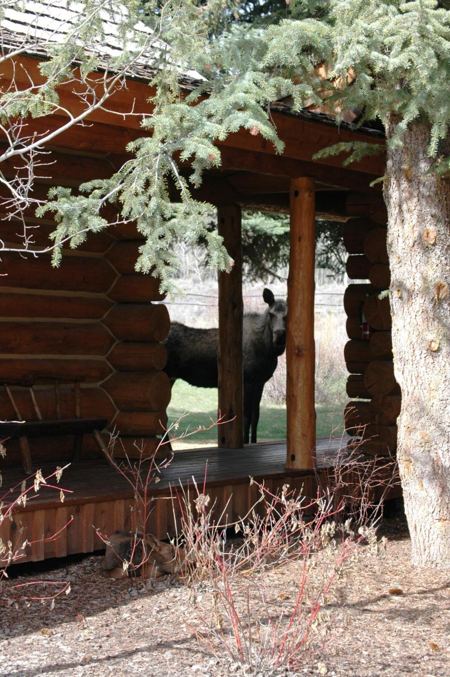 The Hatchet Resort photo 24