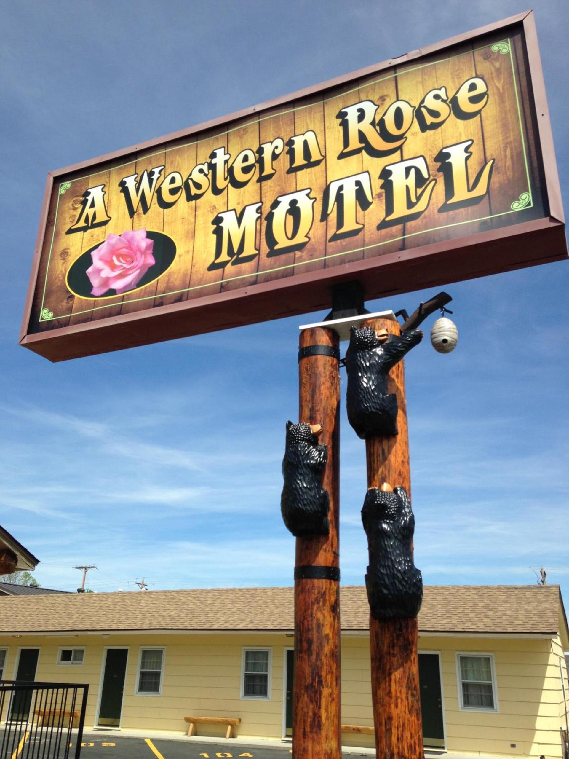 A Western Rose photo 12