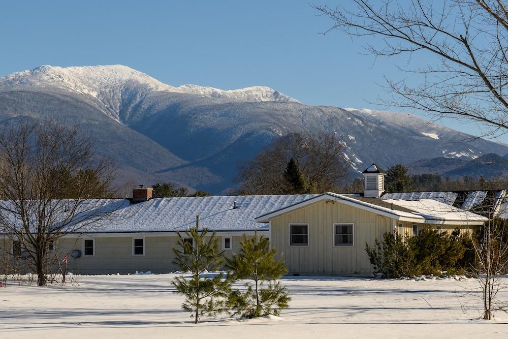 Gale River Motel photo 72