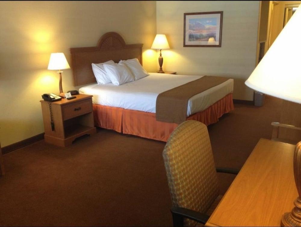 Wintergarden Inn photo 6