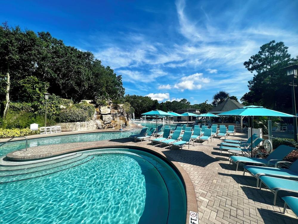 Innisbrook Resort photo 82