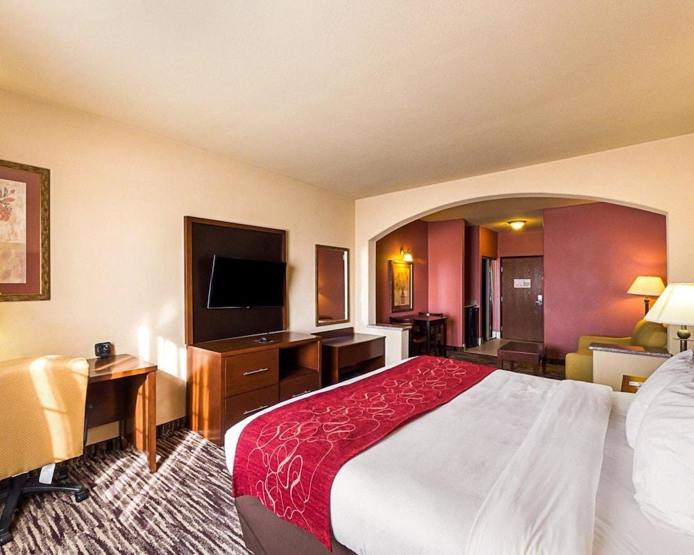 Comfort Suites McAllen photo 16
