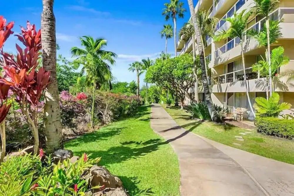 Signature Residences at Maui Banyan photo 2