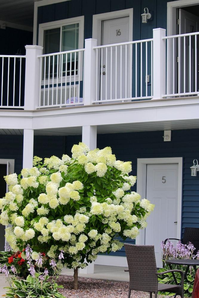 Empire Lakeshore Inn photo 44