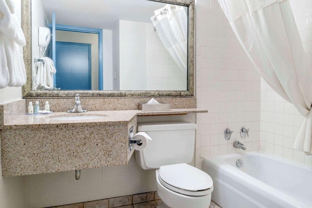 Quality Inn and Suites Livonia photo 17