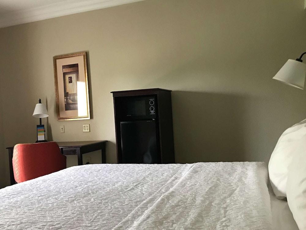 Hampton Inn Vidalia photo 15