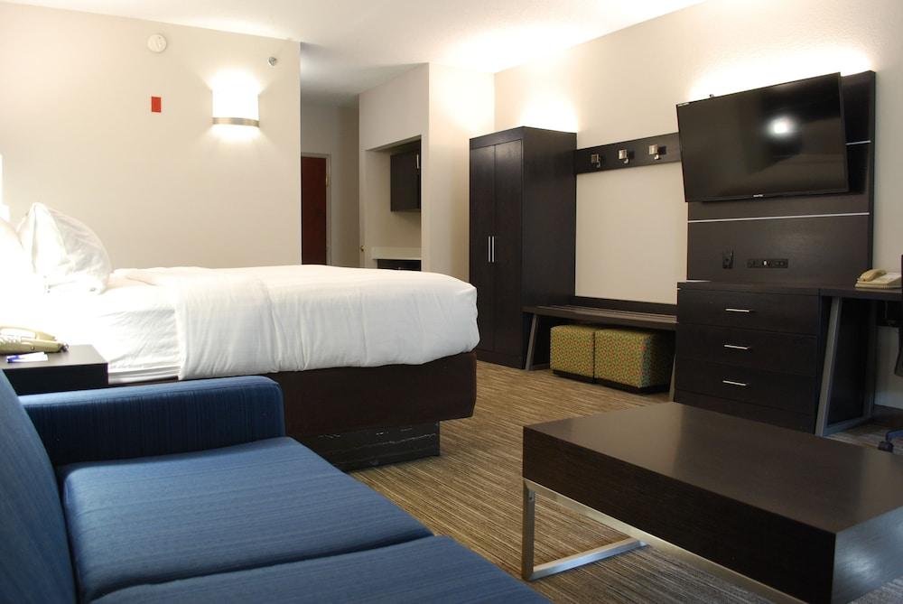 Holiday Inn Express Hotel and Suites Kingsport by IHG photo 3