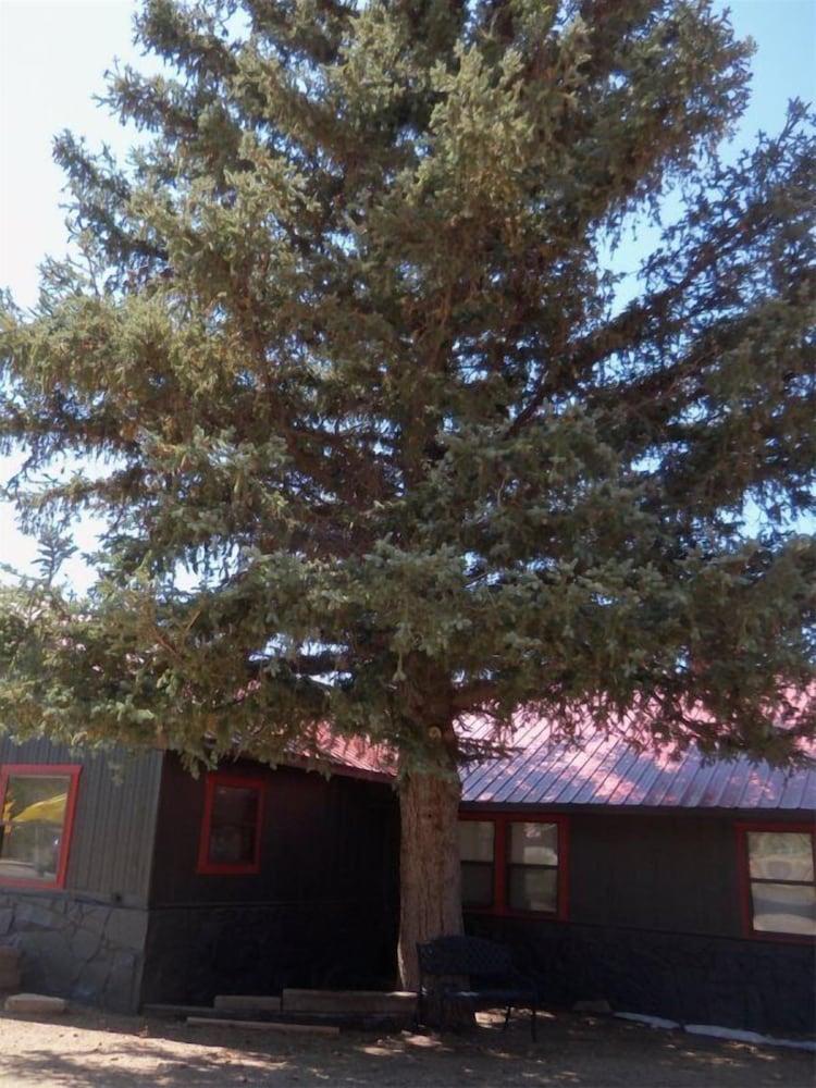 The Gold Pan Motel photo 16
