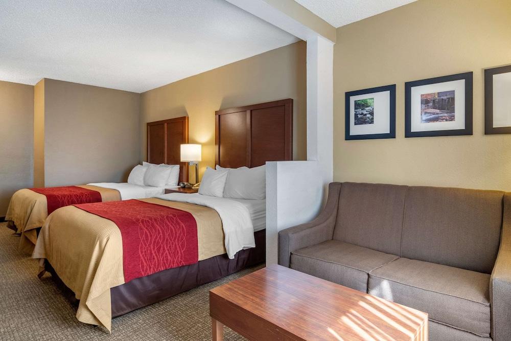 Comfort Inn & Suites Suwanee - Sugarloaf photo 14