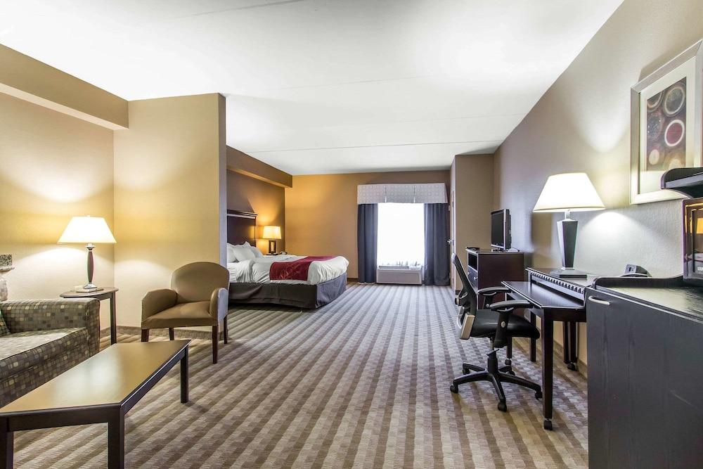 Comfort Suites Smyrna - Nashville Area photo 5