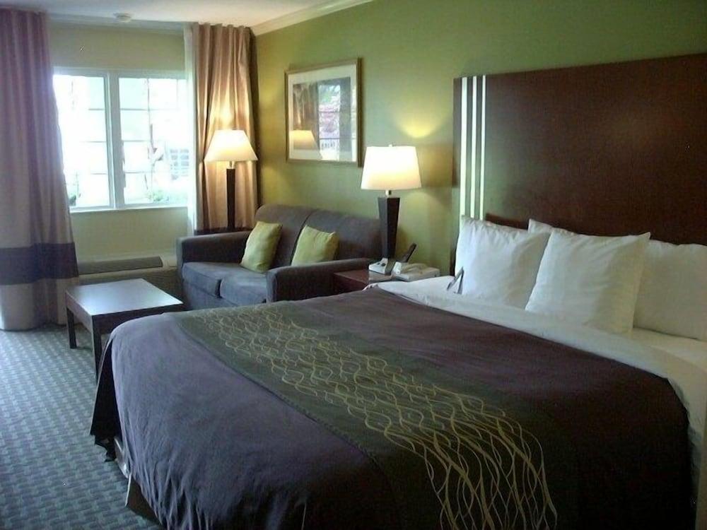 Days Inn by Wyndham Austintown photo 20