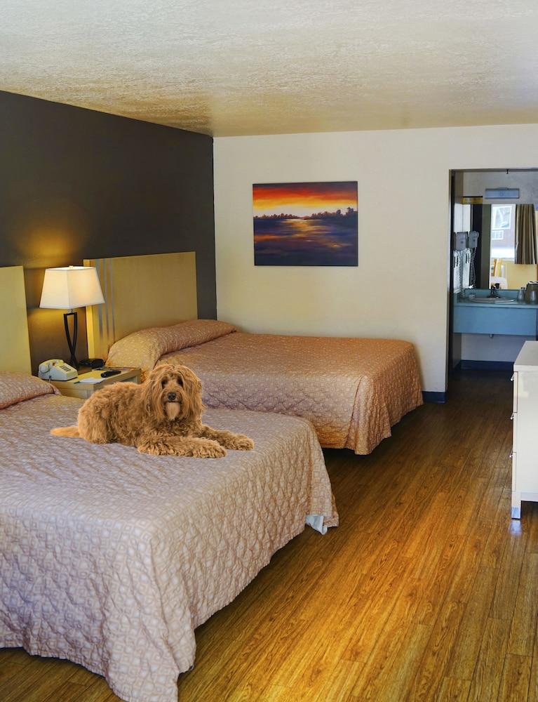 Virgin River Hotel and Casino photo 20