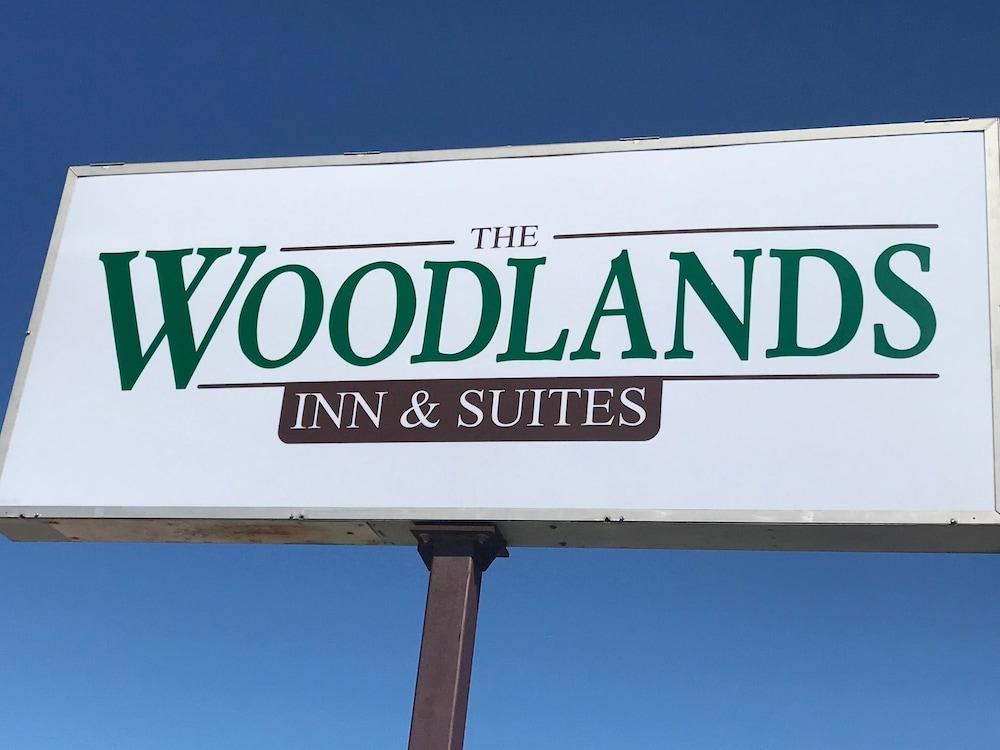 Woodlands Inn & Suites photo 20