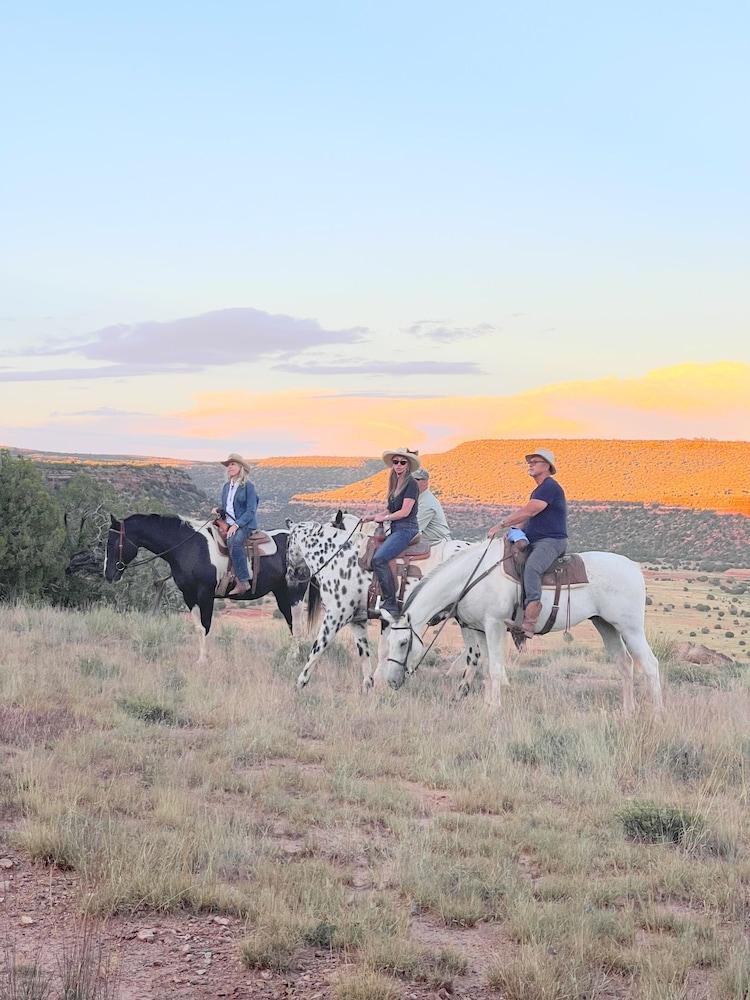 Teepee Lodge with Equus & Firearms/ranch photo 54