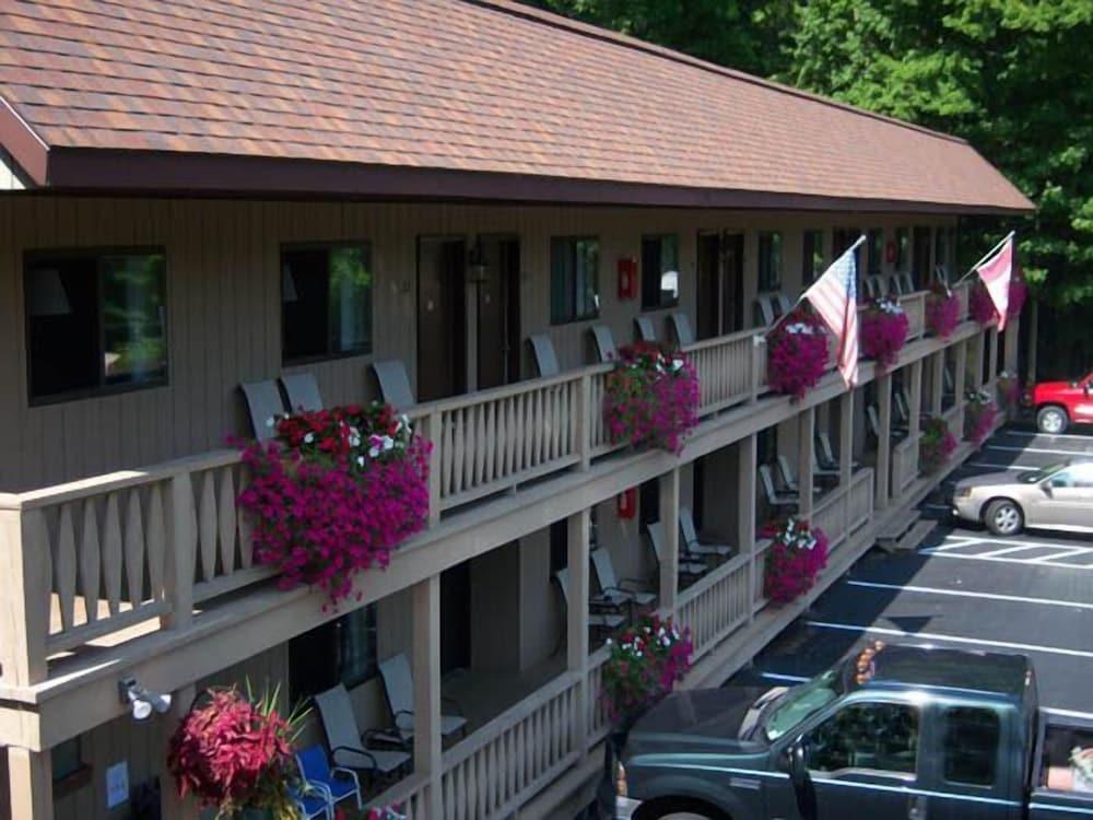 Tall Pines Motel photo 3