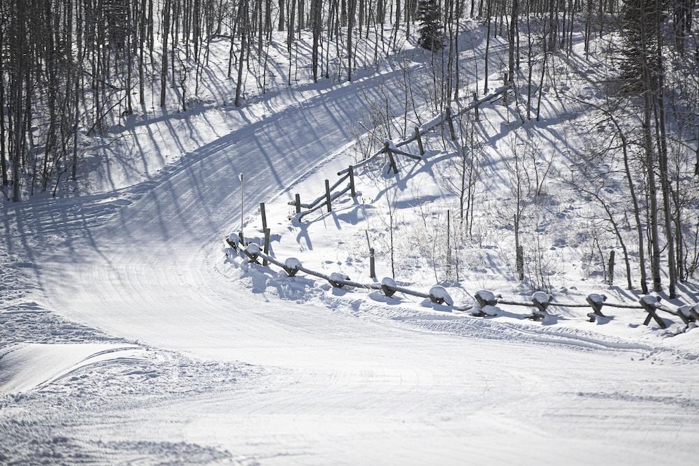 Daniels Summit Lodge photo 35