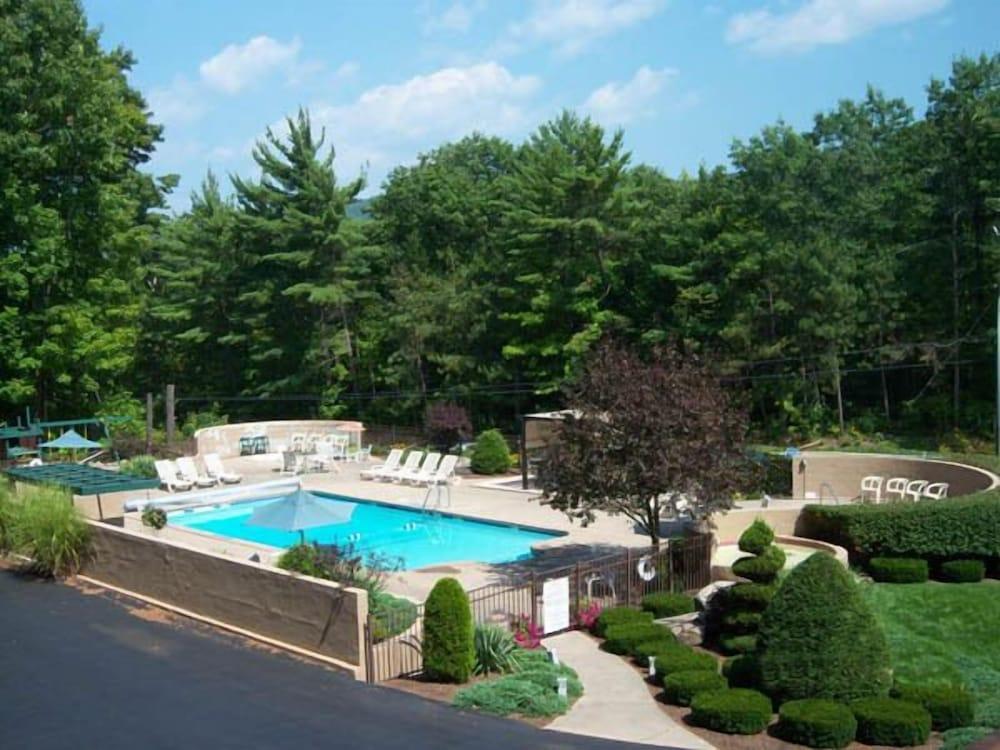 Tall Pines Motel photo 13