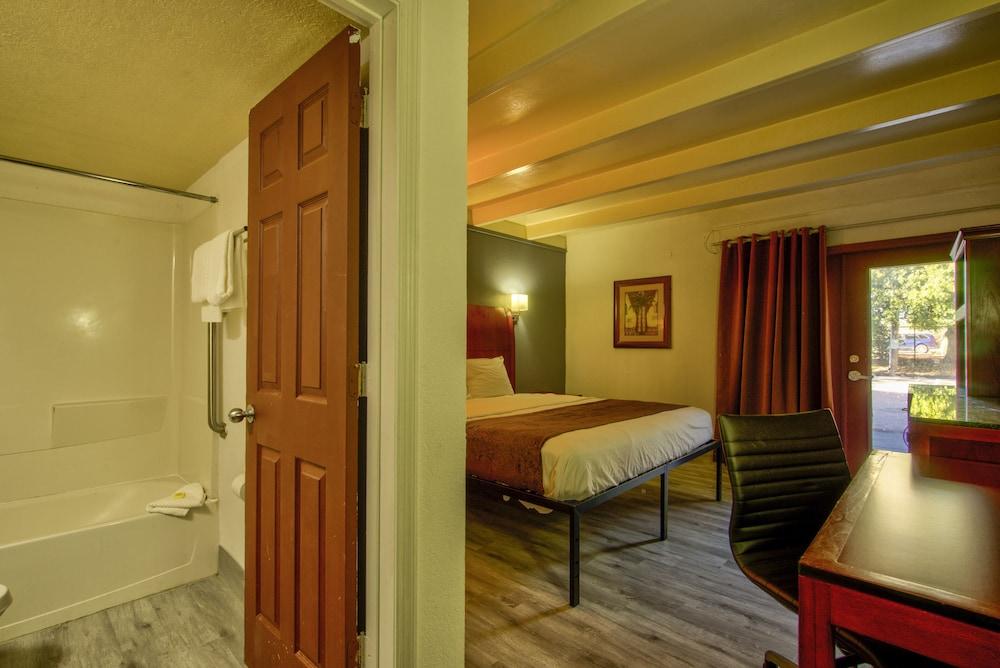 Clearwater Hotel photo 13