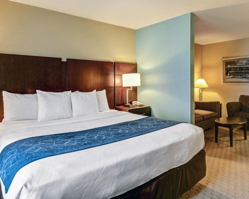 Comfort Suites near Hot Springs Park photo 12
