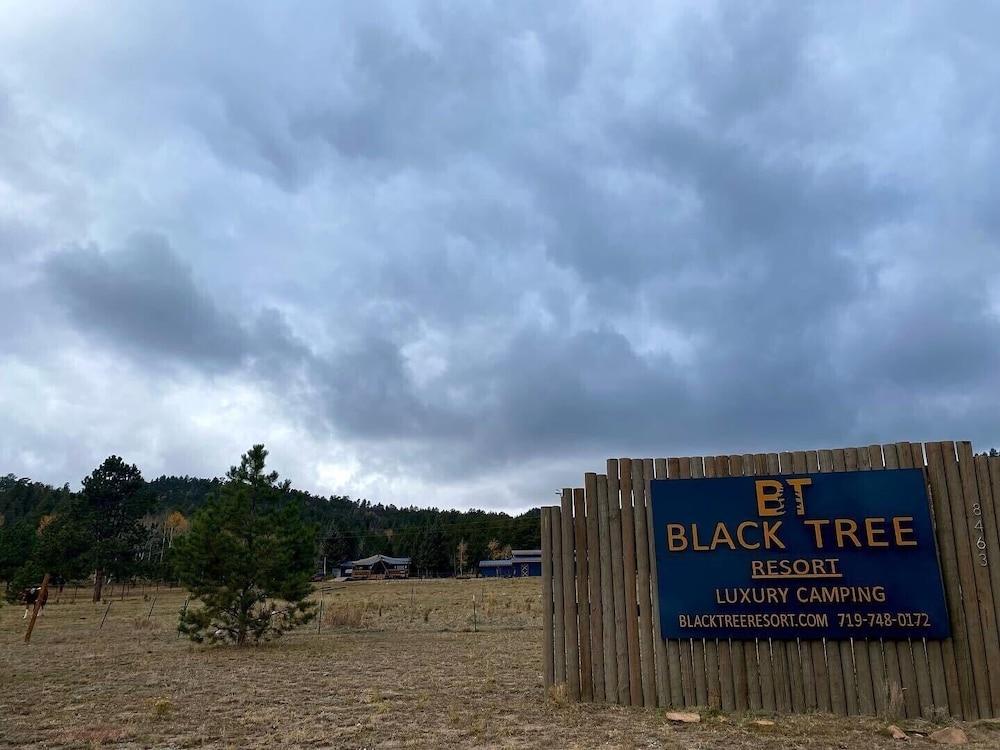 Black Tree Resort - The Lodge photo 12