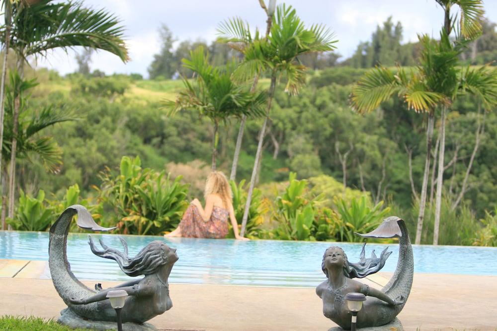 Hawaii Island Retreat photo 42