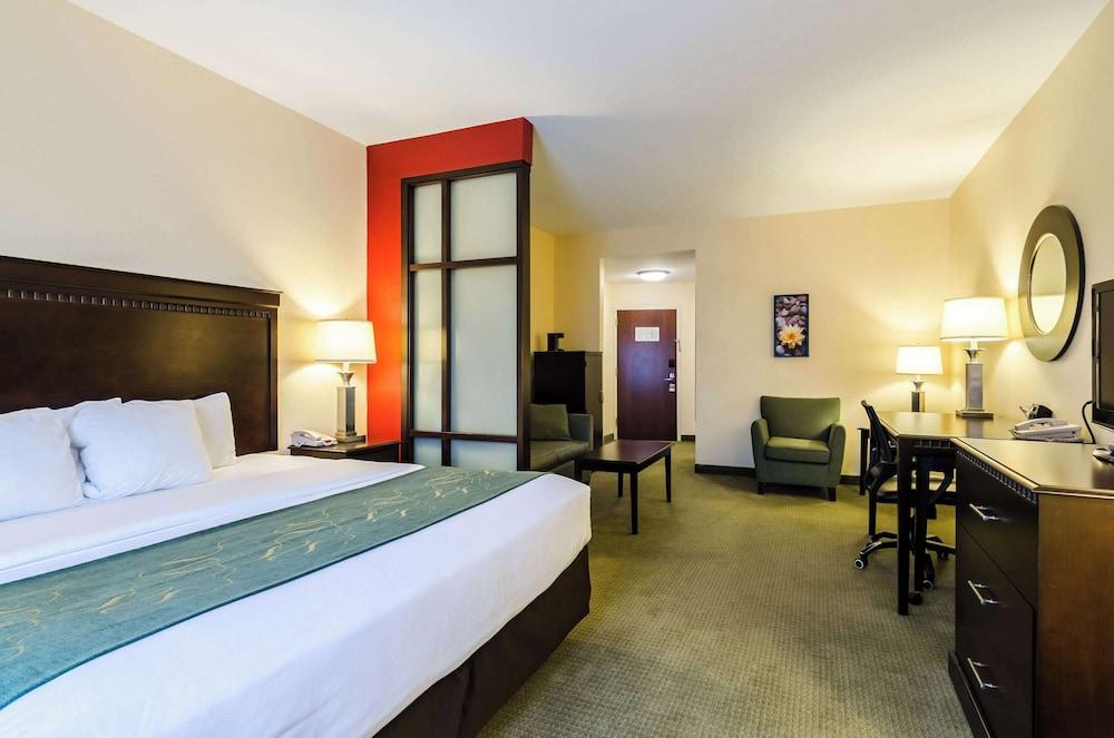 Comfort Suites Gothenburg South photo 13