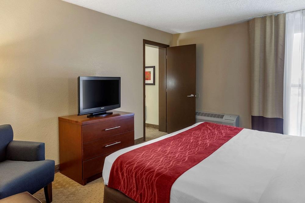 Comfort Inn & Suites Rochelle - DeKalb photo 21