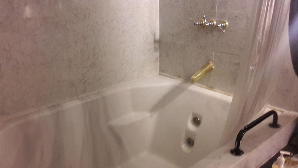 Pine Rose Inn photo 16