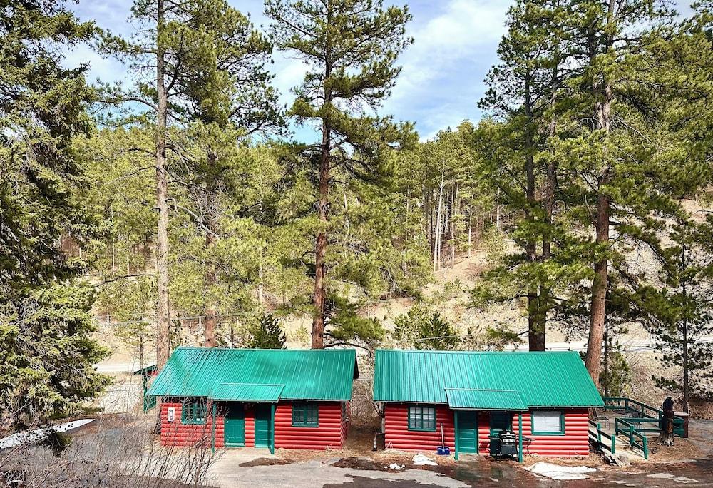 Ponderosa Pines photo 46