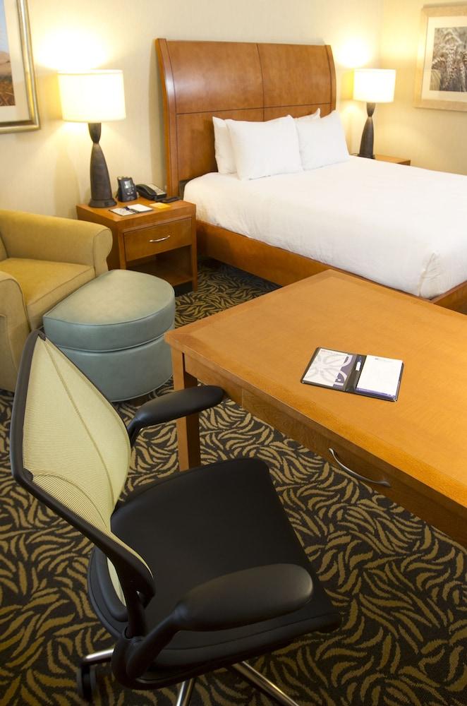 Hilton Garden Inn Cedar Falls photo 49