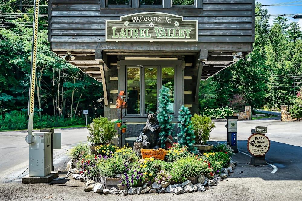 Laurel Valley Mountain Retreat — hotel in Townsend