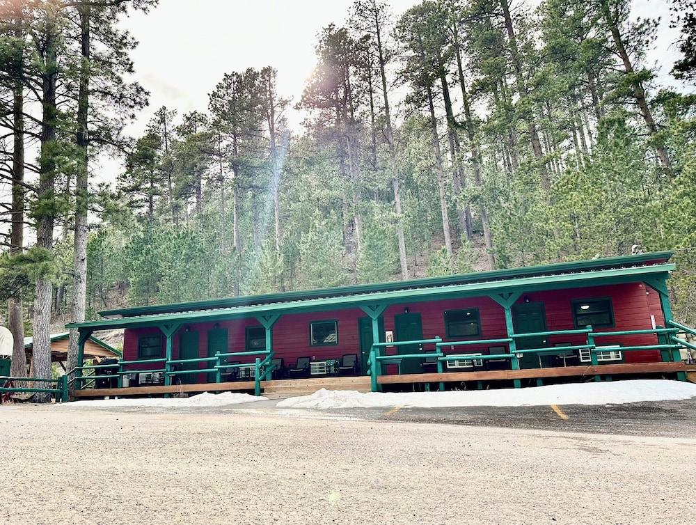 Ponderosa Pines photo 53