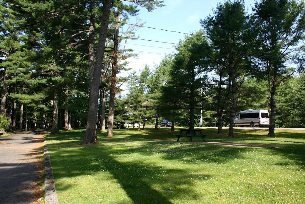 Hinckley's Dreamwood Cottages photo 3