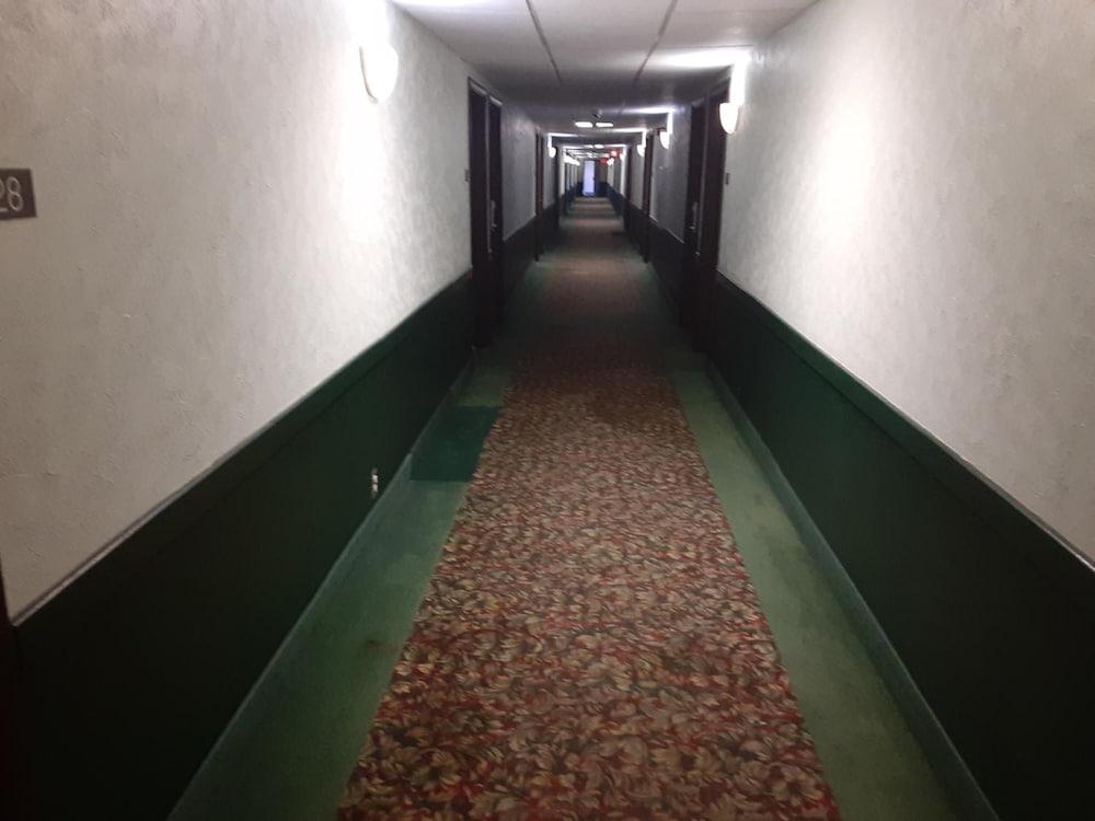 The Vegas Motel photo 21