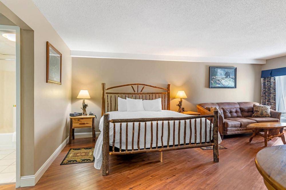 Black Bear Inn, an Ascend Collection Hotel photo 25